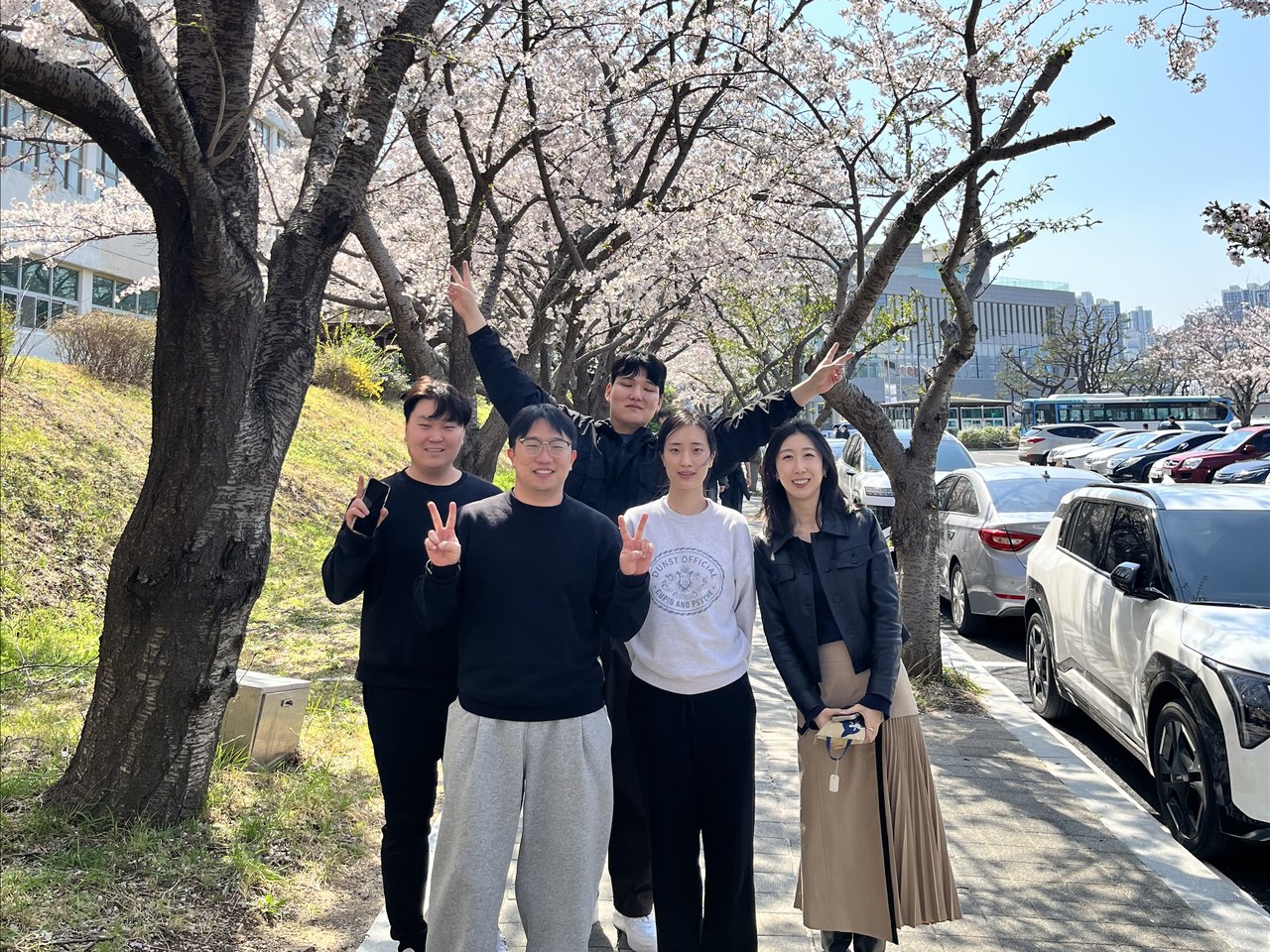 cherry-blossom-group-01-v3