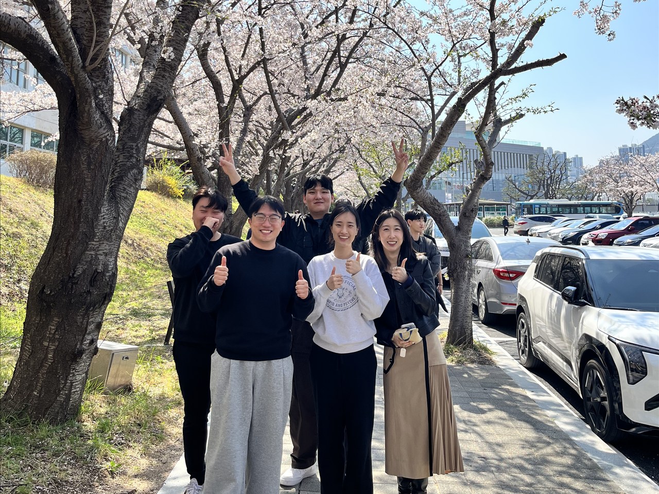 cherry-blossom-group-02-v3